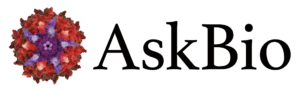 AsjBio-300x91